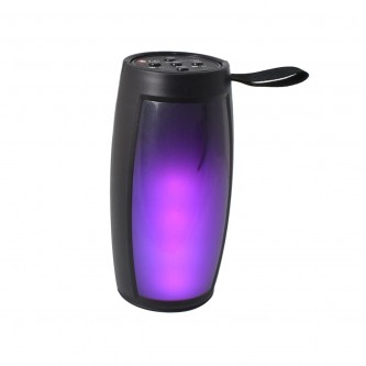 DLC Bluetooth Speaker Model 3837