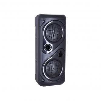 Bluetooth speaker with wired microphone REG-s06