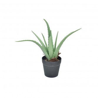 Cactus Planter with Plastic Base 30cm MF600914