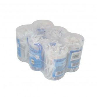 6-Piece Plastic Toothpick Set AF501879