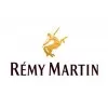 REMY MARTIN