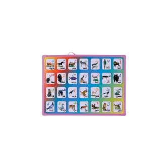 سبوره  حروف  مع  اسماء  الحيوانات  رقم YM-21158 